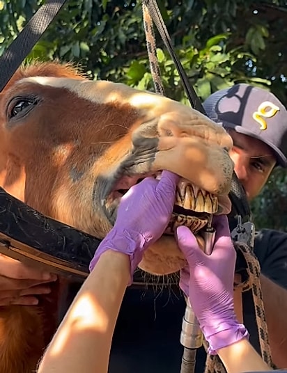 Alípio Paçoca no dentista. 