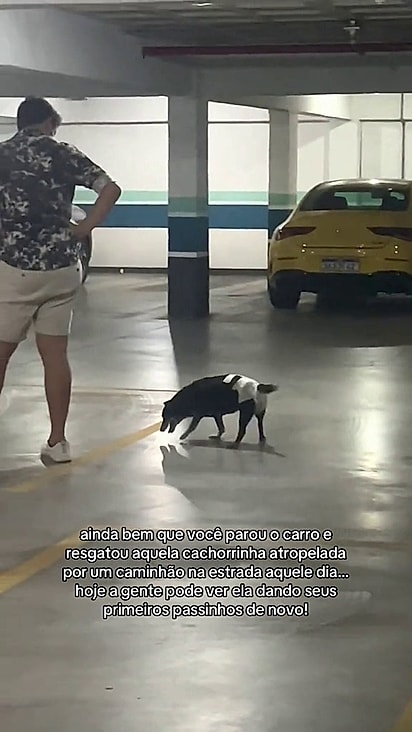 Apesar da idade Pretinha é uma guerreira.