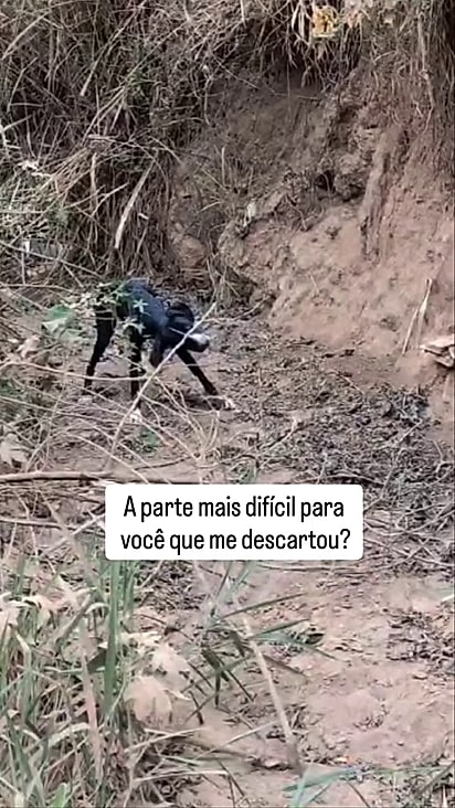 Lily estava com a doença em estágio bem avançado.