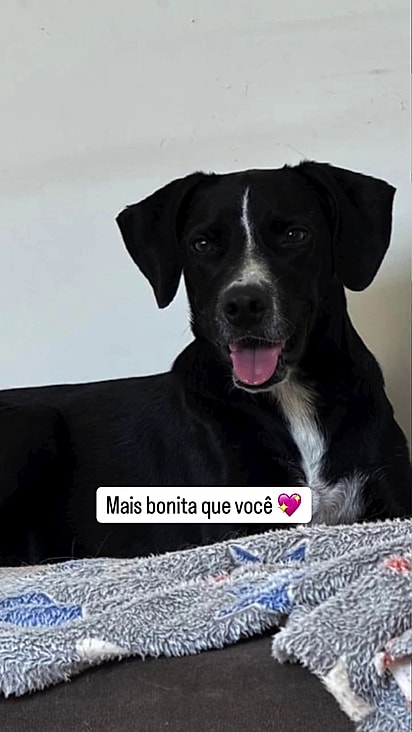 Atualmente Lily está recuperada e ganhou uma família.