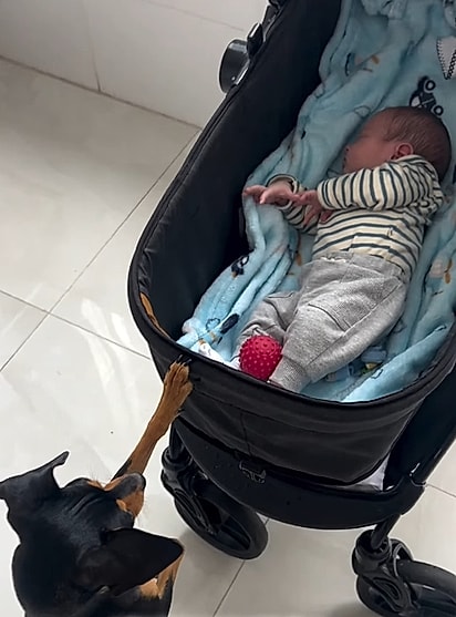 Serena aguardando, após colocar a bolinha no carrinho do bebê.