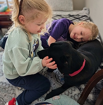 A cachorrinha Shy sendo acariciada pelas crianças da família.