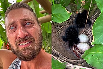 Eu to chorando de alegria: Homem não segura a emoção ao ver filhotinhos que nasceram no seu quintal