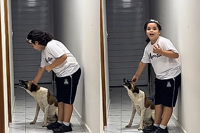 Ela é linda, perfeita, maravilhosa: Menina leva cachorrinha da rua para casa e surpreende mãe