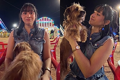 “Ela não aceitou um ‘não’”: cachorrinha “fiapo de manga” força adoção, e jovem que passeava com amigos no parque não teve opção.