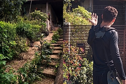 Depois de perder o marido, ela abandonou o quintal — até receber uma visita que transformou tudo.