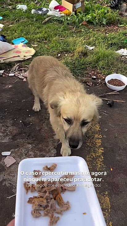 Ele permaneceu ao lado do lixo por três dias.