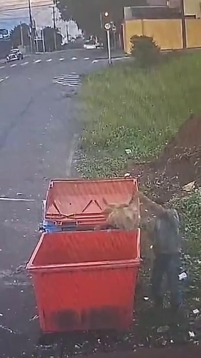 Não há confirmação se o cão pertencia ao homem.