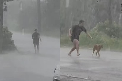 Não tem tempo ruim: Protetora enfrenta tormenta para fazer resgate complicado e coragem viraliza