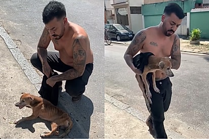 “Ele não podia nem se defender”: Homem encontra cão cego abandonado sob sol escaldante e decide agir.