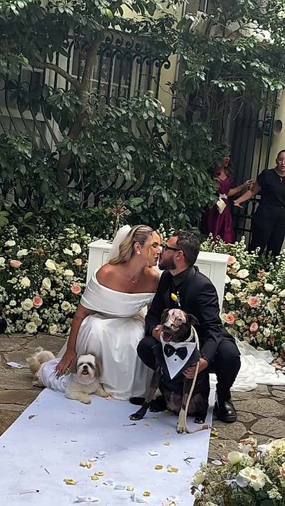 O casal priorizava a presença dos pets no casamento.