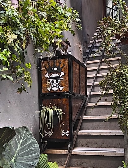 Rey em seu elevador.