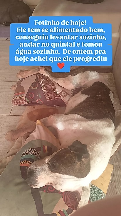 Vovô agora esta sem bem assistido