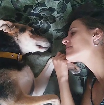 “Cães idosos não despertam pena. Eles oferecem o tipo mais profundo de amor”