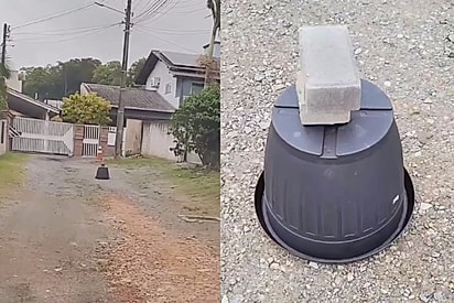 Deve ser um bicho forte: Biólogo se surpreende ao encontrar balde com dois blocos de cimento em cima deixados na rua