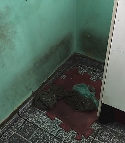 Essa era a cama de Caramelinho.