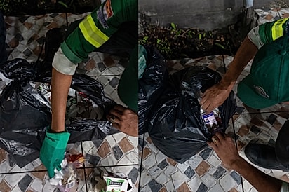 Pintinho nasce em um saco de lixo e é resgatado durante a coleta urbana