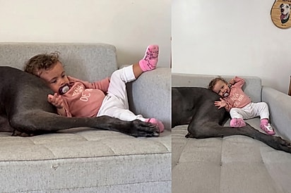 Bebê Maite usa seu dog de naninha