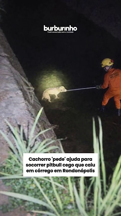 Os bombeiros atenderam ao chamado e compareceram para resgate.