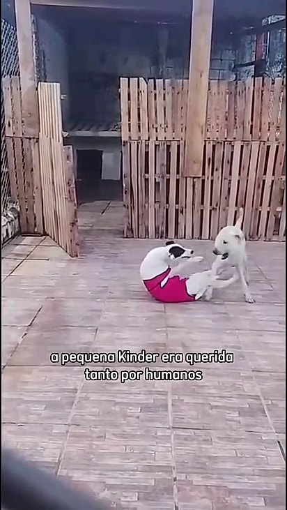 Ela é a única do grupo de aumigos que seguem sem uma família.