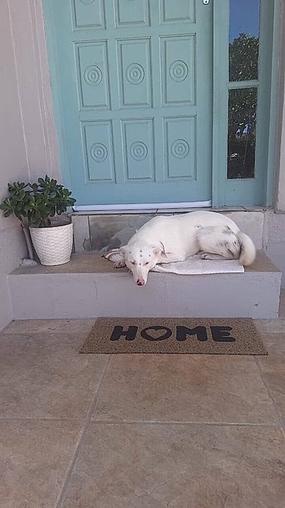 O único cuidado diário é para evitar exposição solar.