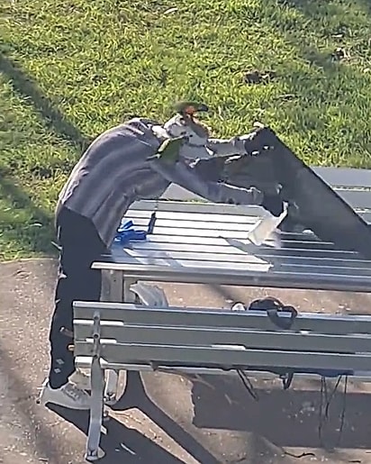 A idosa preparando, com muito carinho, um verdadeiro banquete para seus amiguinhos de asas.