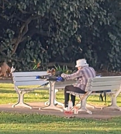 A idosa parece uma verdadeira Branca de Neve da vida real cercada por seus amigos pássaros.