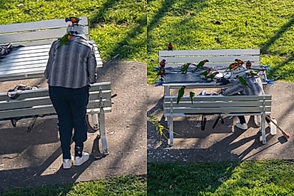 Na janela de casa, jovem flagra idosa que parece ser a verdadeira “Branca de Neve” da vida real.