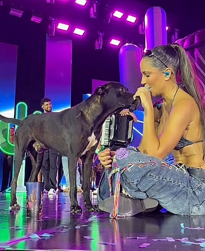 A cantora convidou o cão para morar com ela. 