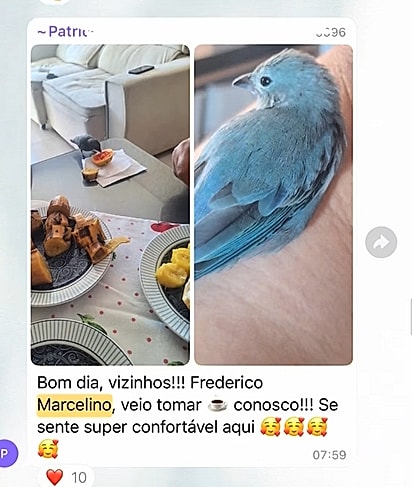 A ave ficou conhecida entre os moradores por visitar apartamentos diferentes todos os dias e agir como se fosse dona do prédio.