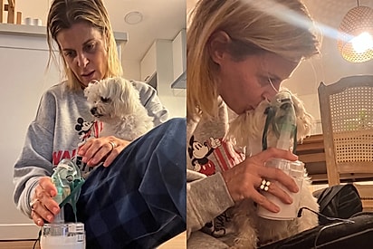 “Ele entende que é para ajudá-lo”: Cachorrinho emociona ao fazer nebulização tranquilamente ao lado da tutora.