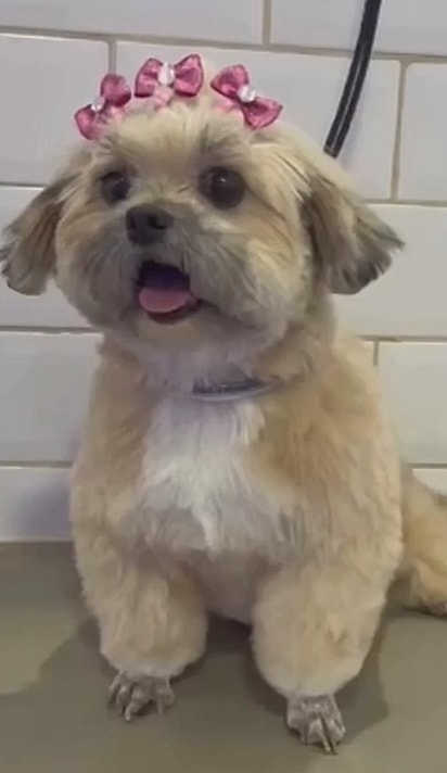 Hope após o tratamento.