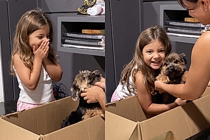 Mãe surpreende filha com adoção de cachorro e reação emociona: “Esse é o melhor dia da minha vida”.