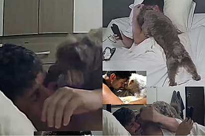 Theo ajudou seu dono a superar a partida de Leléco