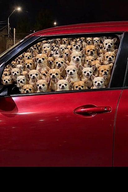 Nos comentarios o pessoal se divertiu