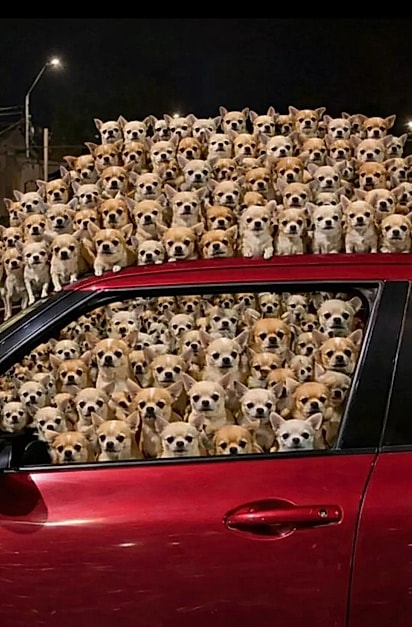 Varias montagens com a situaçãp