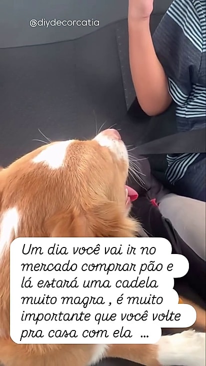 Ela não apresentava sinais de gravidez no momento do resgate.