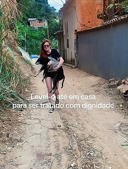 Karla resgatou o cachorrinho idoso, dando-lhe cuidado, dignidade e uma nova chance de ser amado.