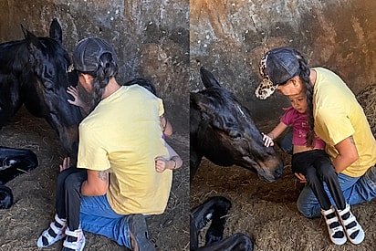 “Ele era o mais bravo do haras”… até conhecer Yasmin e revelar uma conexão impossível de explicar