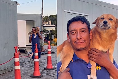 Patrão descobre que funcionário saiu do trabalho para brincar com cachorrinho, atitude chama atenção