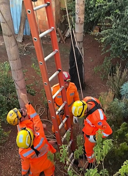 Os bombeiros não pouparam esforços para resgatar a maritaca.