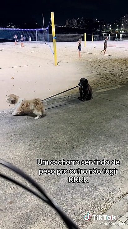 Bento nem faz força para manter o outro no lugar.