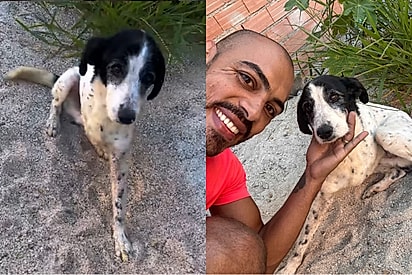 Bastião foi encontrado após três dias 