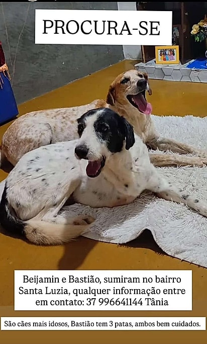 Postagem em que divulgava o sumiço dos dois