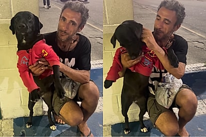 Astronauta procura um lar 