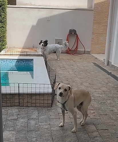 Rafaelito, agora Costelinha, precisou de tempo para se adaptar. 