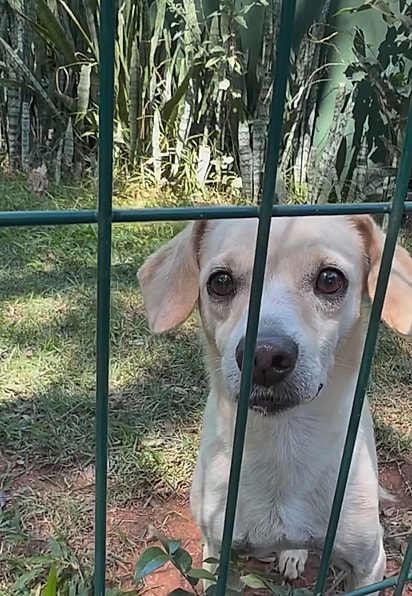 Rafaelito vivia no local há cerca de quatro anos.