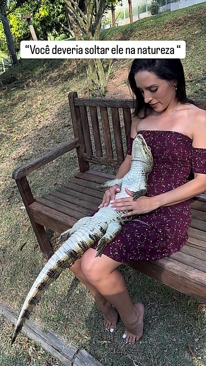 O jacaré se comportou no colo da mulher.