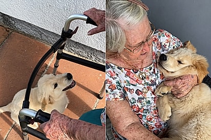 89 anos separam os dois