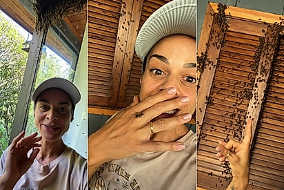 “Elas escolheram ficar comigo”: Mulher se emociona após enxame gigante de abelhas escolher seu quarto para descansar